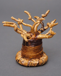 バナナファイバー　バオバブツリー 　SSサイズ